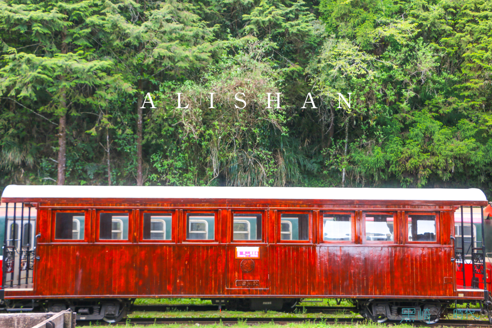 阿里山小火車一日遊 絕美百年鐵道與太興茶園茶席
