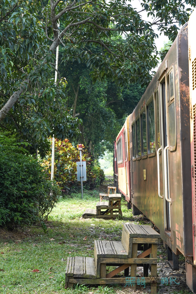 阿里山小火車一日遊 絕美百年鐵道與太興茶園茶席 - 黑崎時代