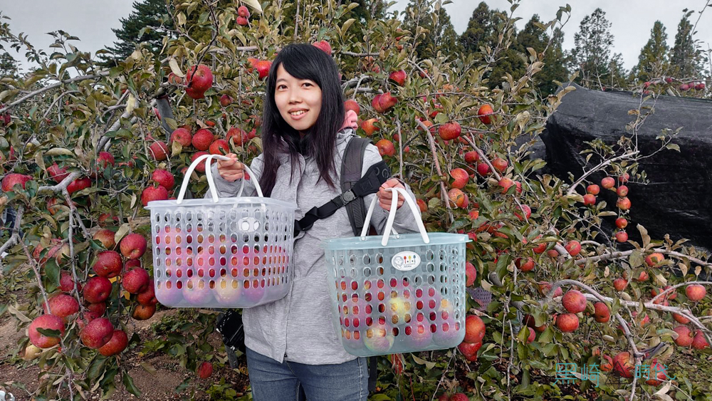 福壽山採蘋果一日遊 季節限定賞楓與絕美景色 - 黑崎時代