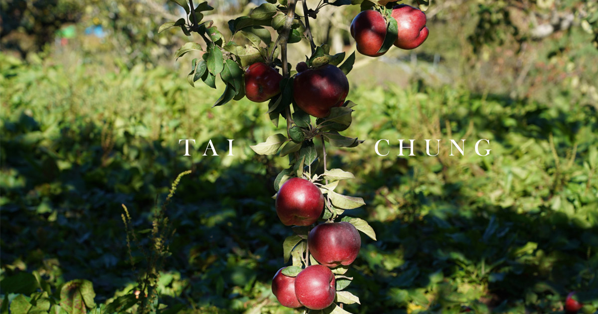福壽山採蘋果一日遊 季節限定賞楓與絕美景色