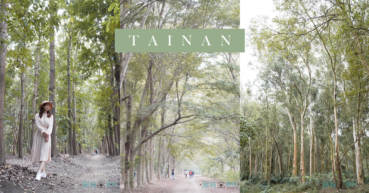 台南仁德景點 虎山林場 森林夢幻步道的私房景點