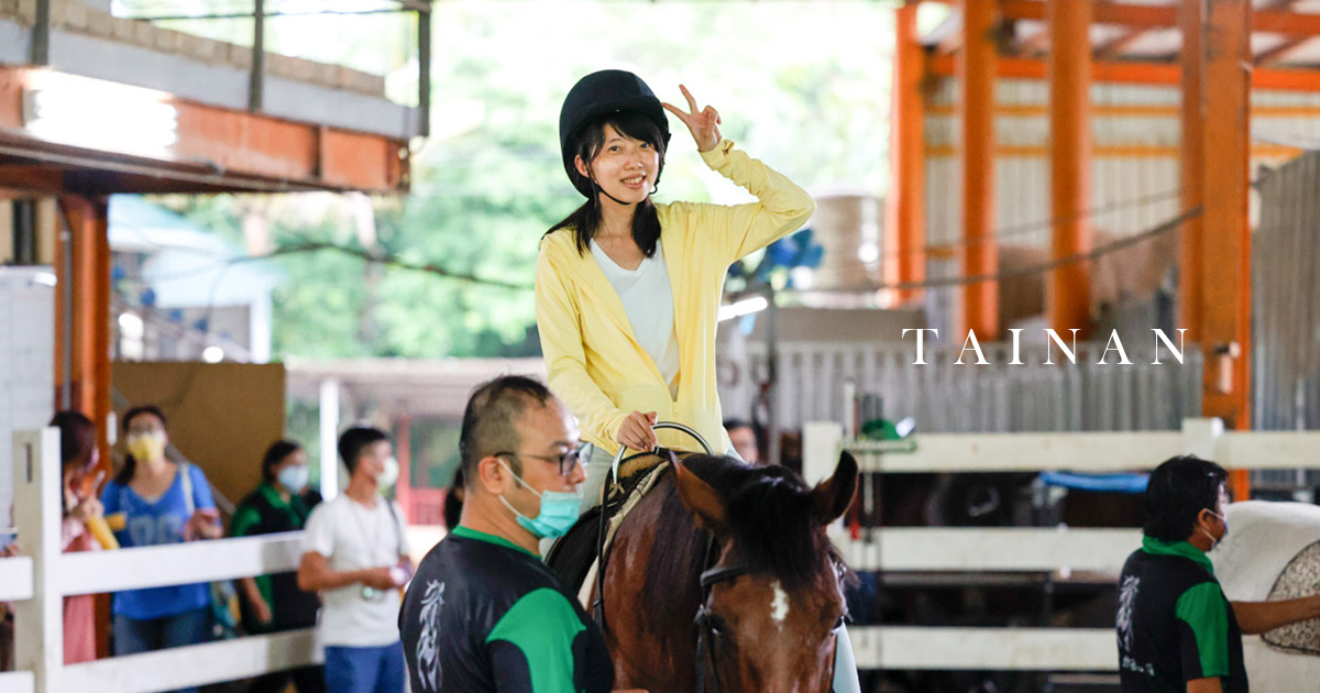 台南馬術課 馬樂活山莊 餵食草泥馬和馬兒 免門票入場