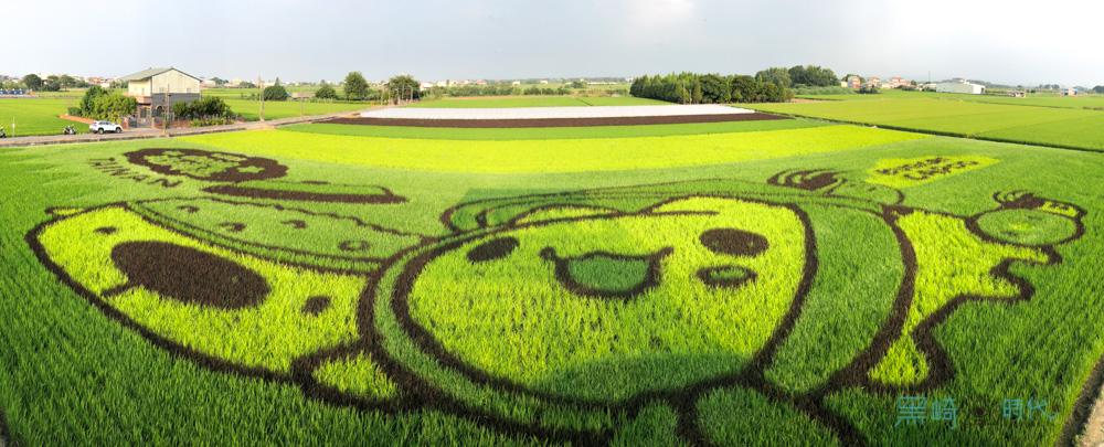 2022 台南好米季 後壁彩繪稻田