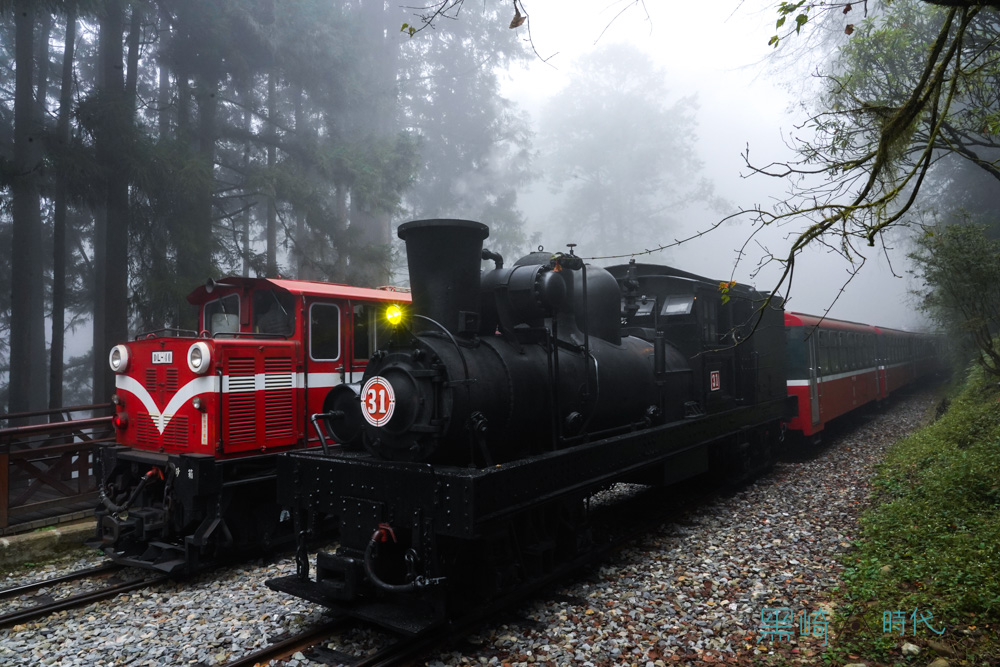阿里山小火車與蒸汽火車