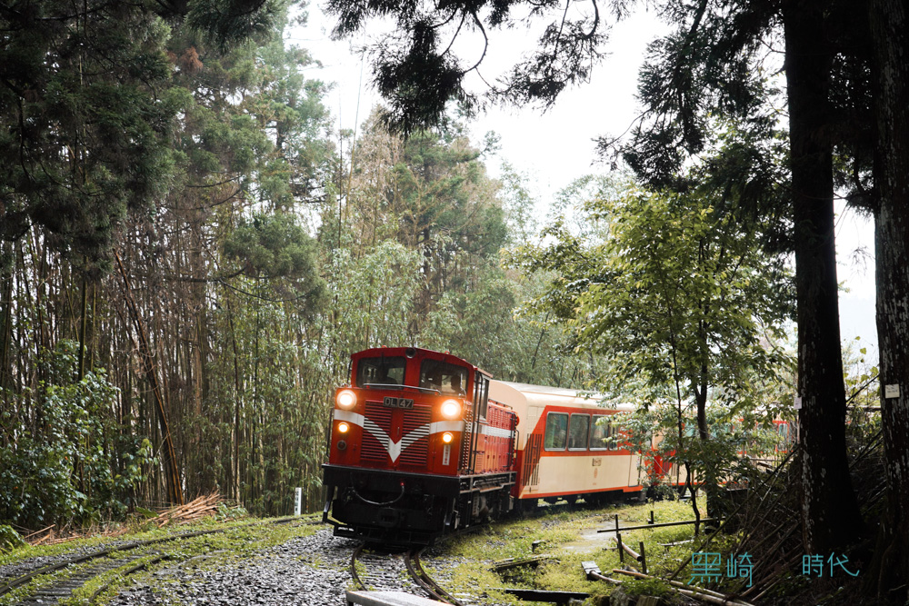 嘉義兩天一夜 搭阿里山森林小火車到得恩亞納與森林秘境的阿里山私房車站 - 黑崎時代