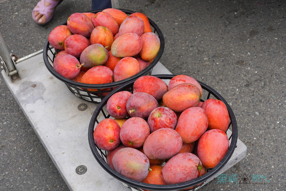 玉井青果市場 來玉井買芒果整籃搬 超值新鮮芒果品種多 - 黑崎時代