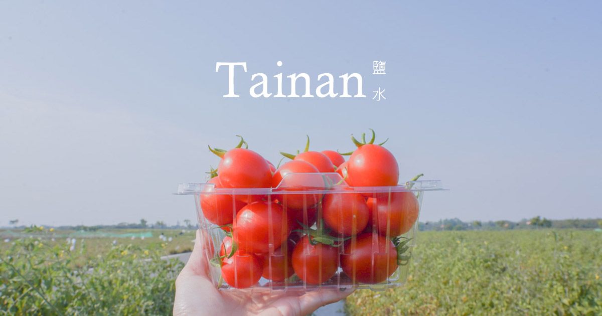 台南鹽水採番茄 必買農產產品 帥哥番茄 聖代番茄 食農教育的親子遊